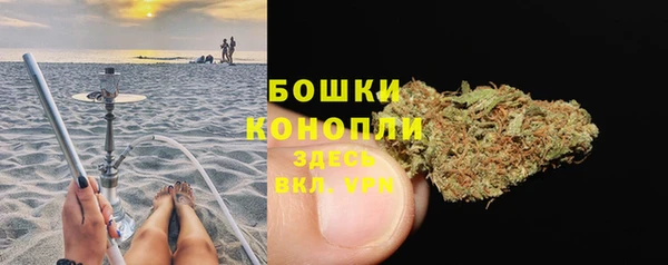 хмурый Аркадак