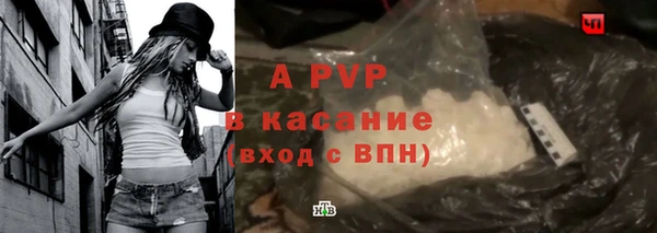 хмурый Аркадак