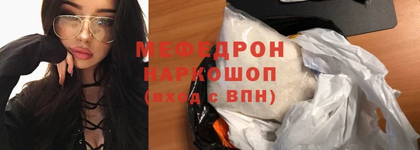 хмурый Аркадак