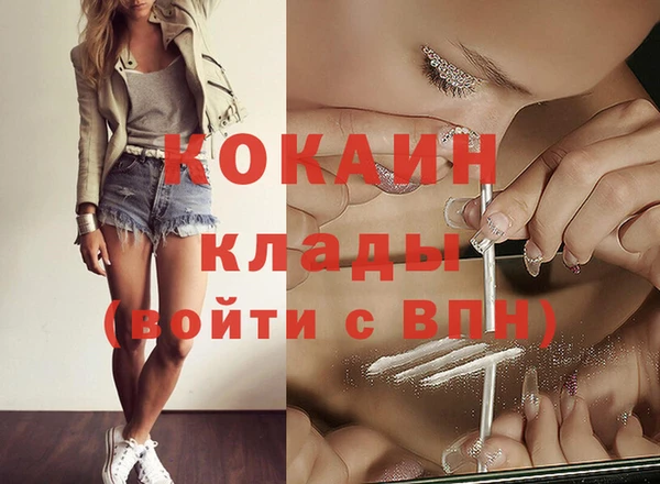 хмурый Аркадак