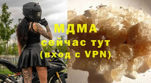 хмурый Аркадак