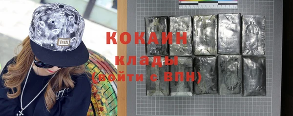 хмурый Аркадак