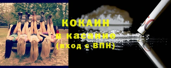 хмурый Аркадак