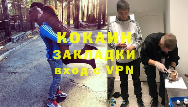 хмурый Аркадак