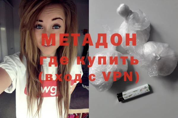 хмурый Аркадак