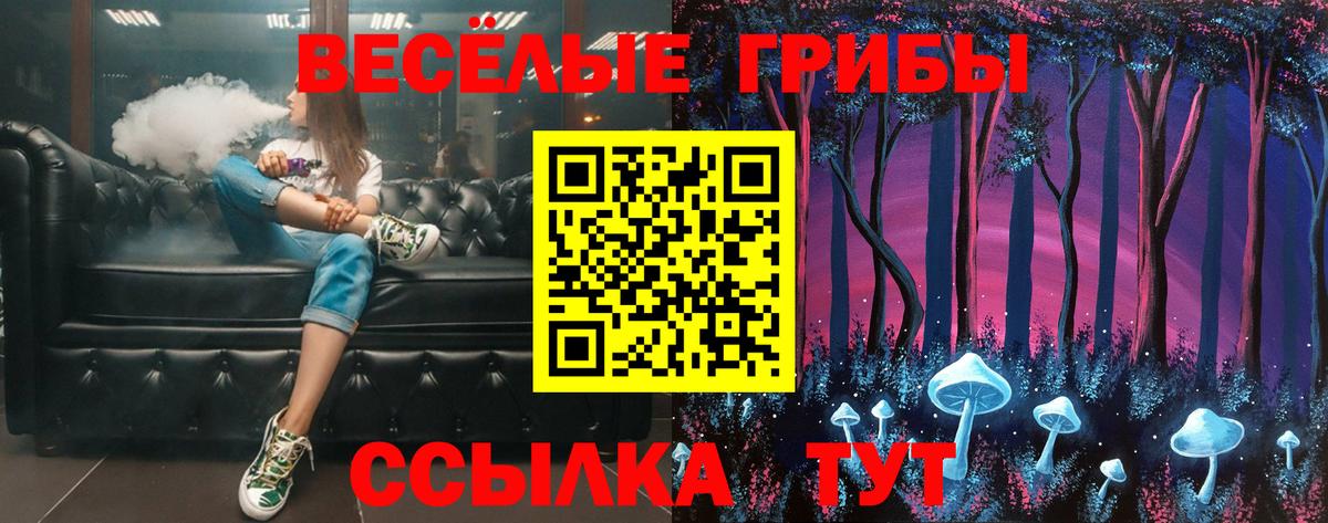 где можно купить наркотик  Вход с VPN  Усть-Илимск  Псилоцибиновые грибы мицелий 